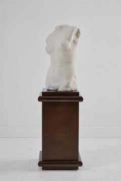 Torso femenino de piedra colada Karl Springer Ltd