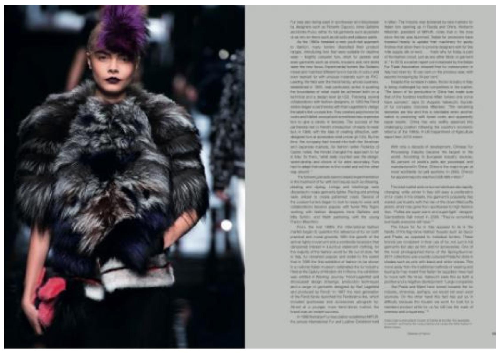 Cappotto in pelliccia di volpe e visone Fendi 2013 in vendita 5