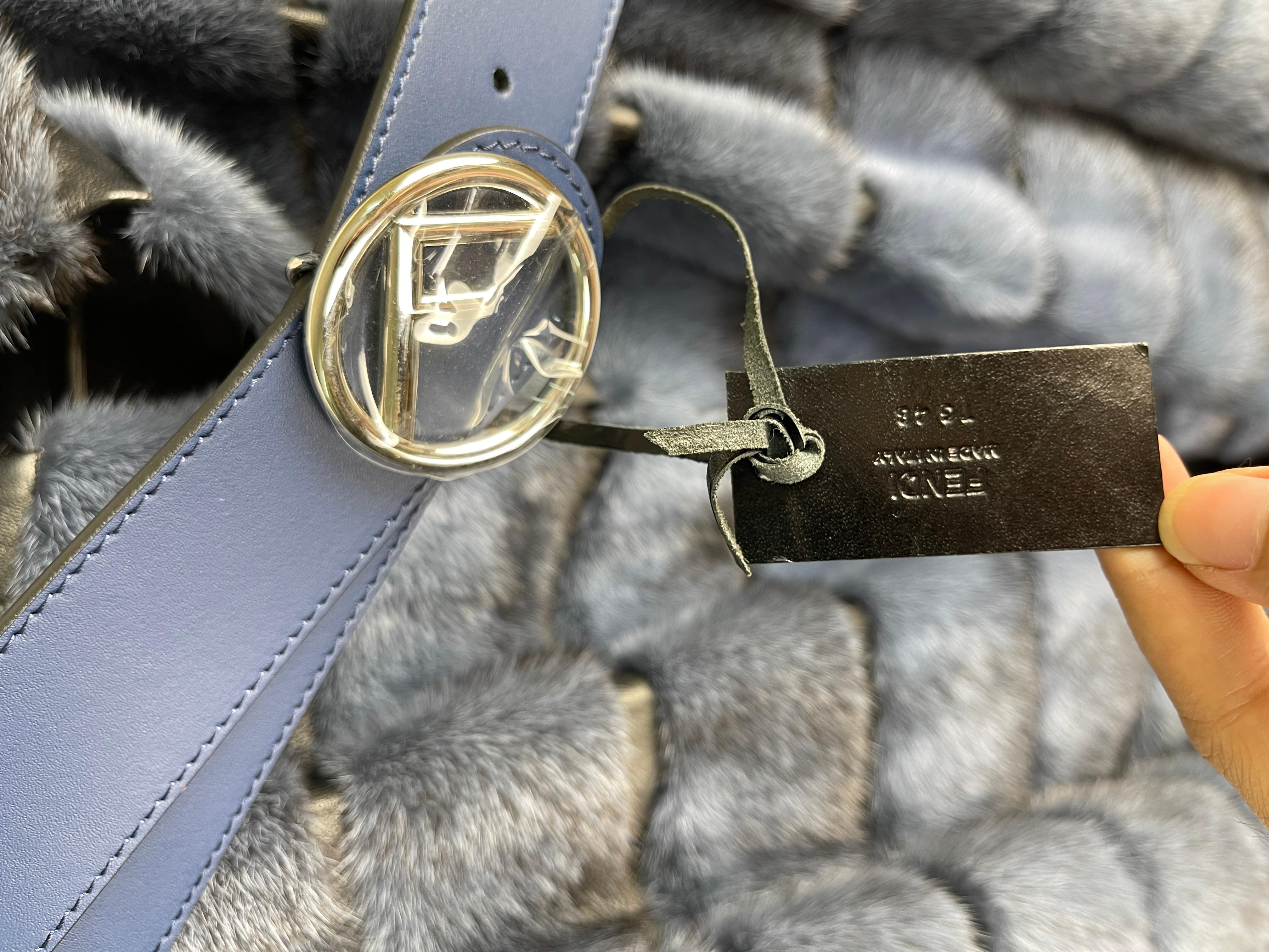 Fendi 2018 VIP Mink Fur Coat For Sale 4