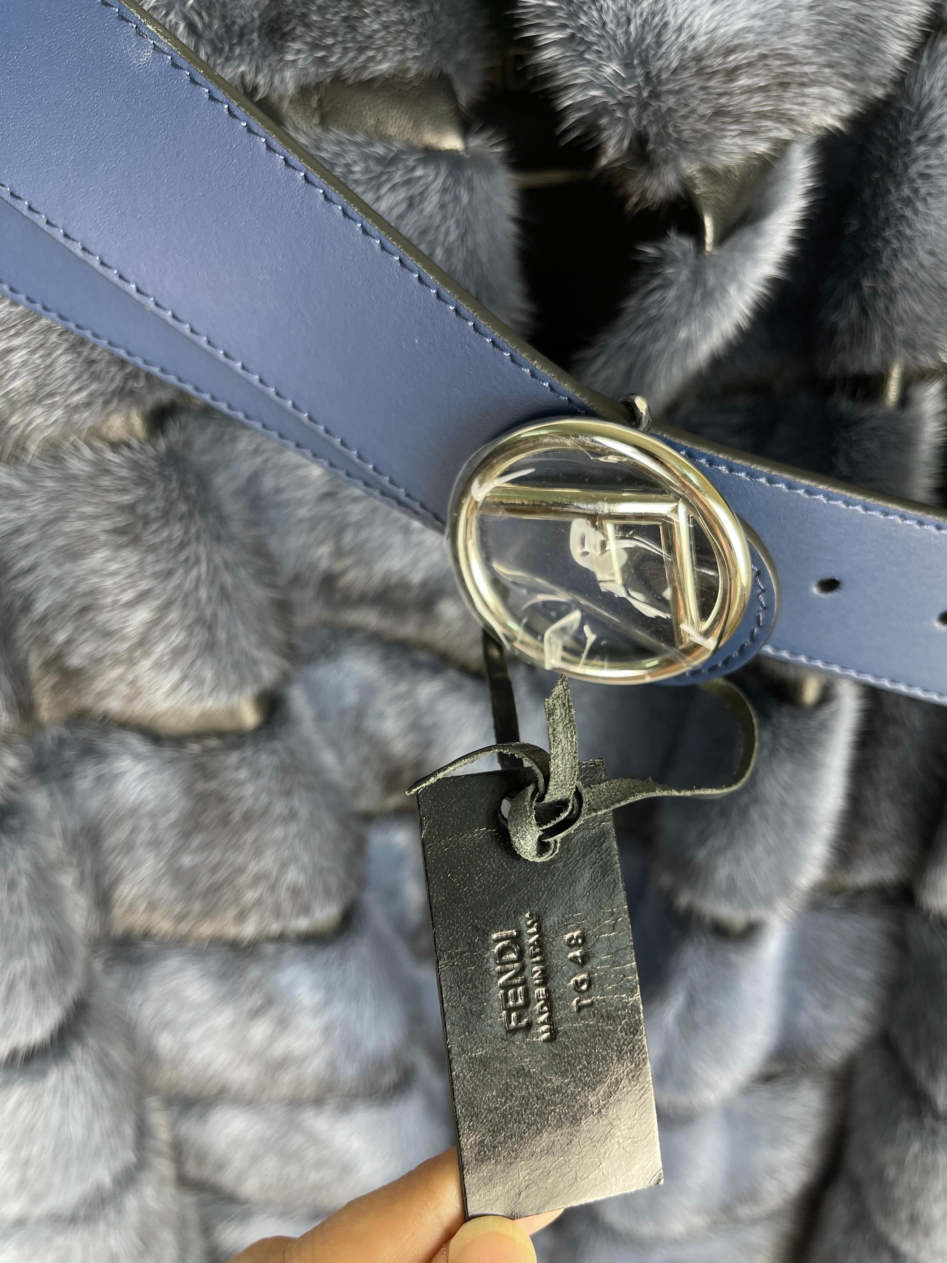 Fendi 2018 VIP Mink Fur Coat For Sale 5