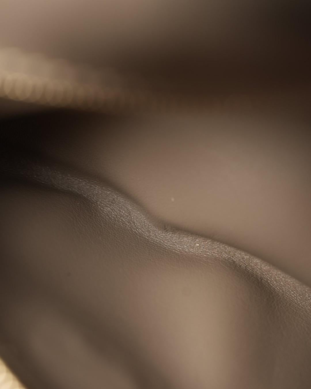 Fendi Baguette Medium Tortora en vente 10