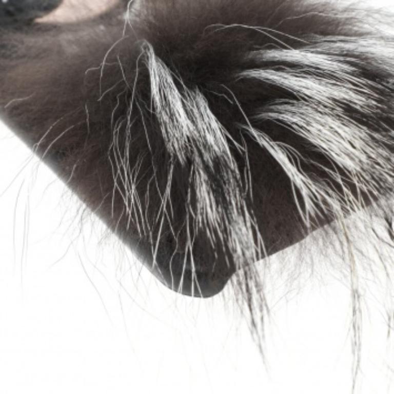 Étui pour iPhone 6 en cuir noir et fourrure de renard Karlito de Fendi en vente 5