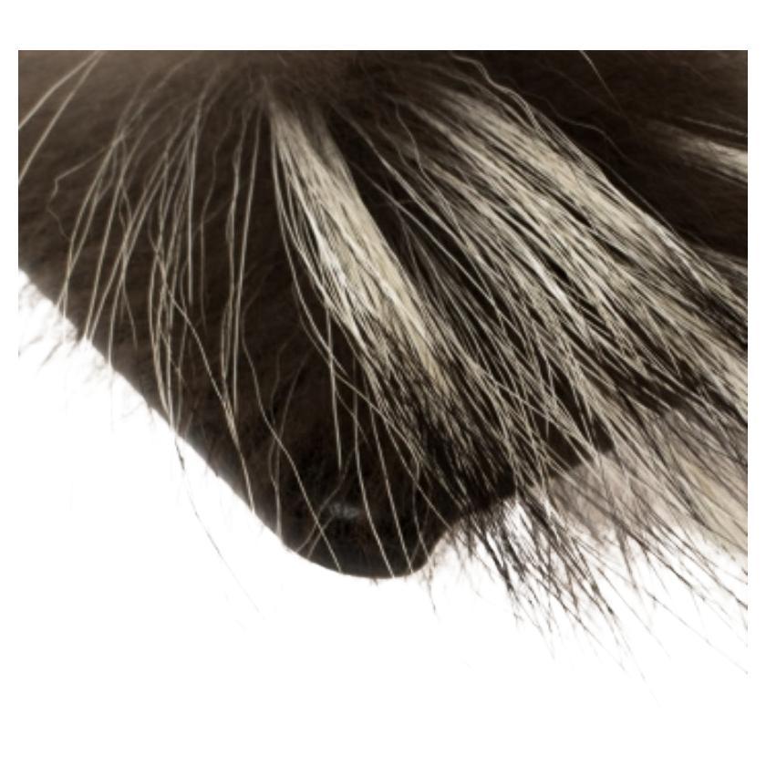 This splendid iPhone 6 case from Fendi is not only visually appealing but also very functional and durable. It has been crafted from black leather and fox fur and styled with a mini Karlito motif on the exterior. An exalted tribute to the iconic