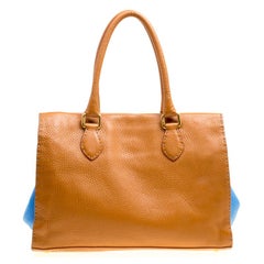 Fendi Brown/Blue Selleria Leather Firenze Frame Tote