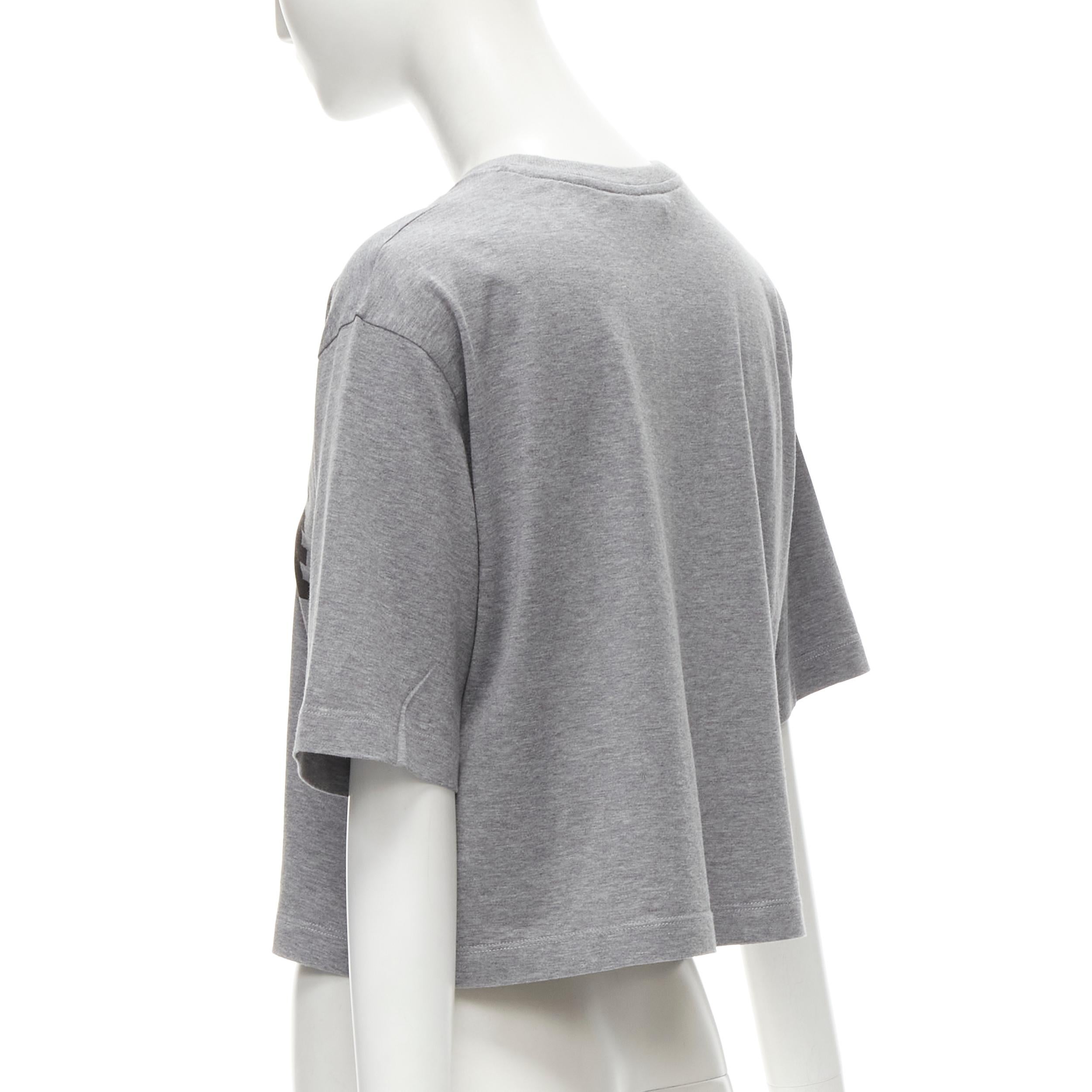 Gray FENDI Femme Fierce embroidery FF logo grey cropped cotton tshirt  For Sale