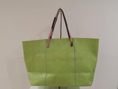 Fendi green python skin pony hair handle shoulder bag
