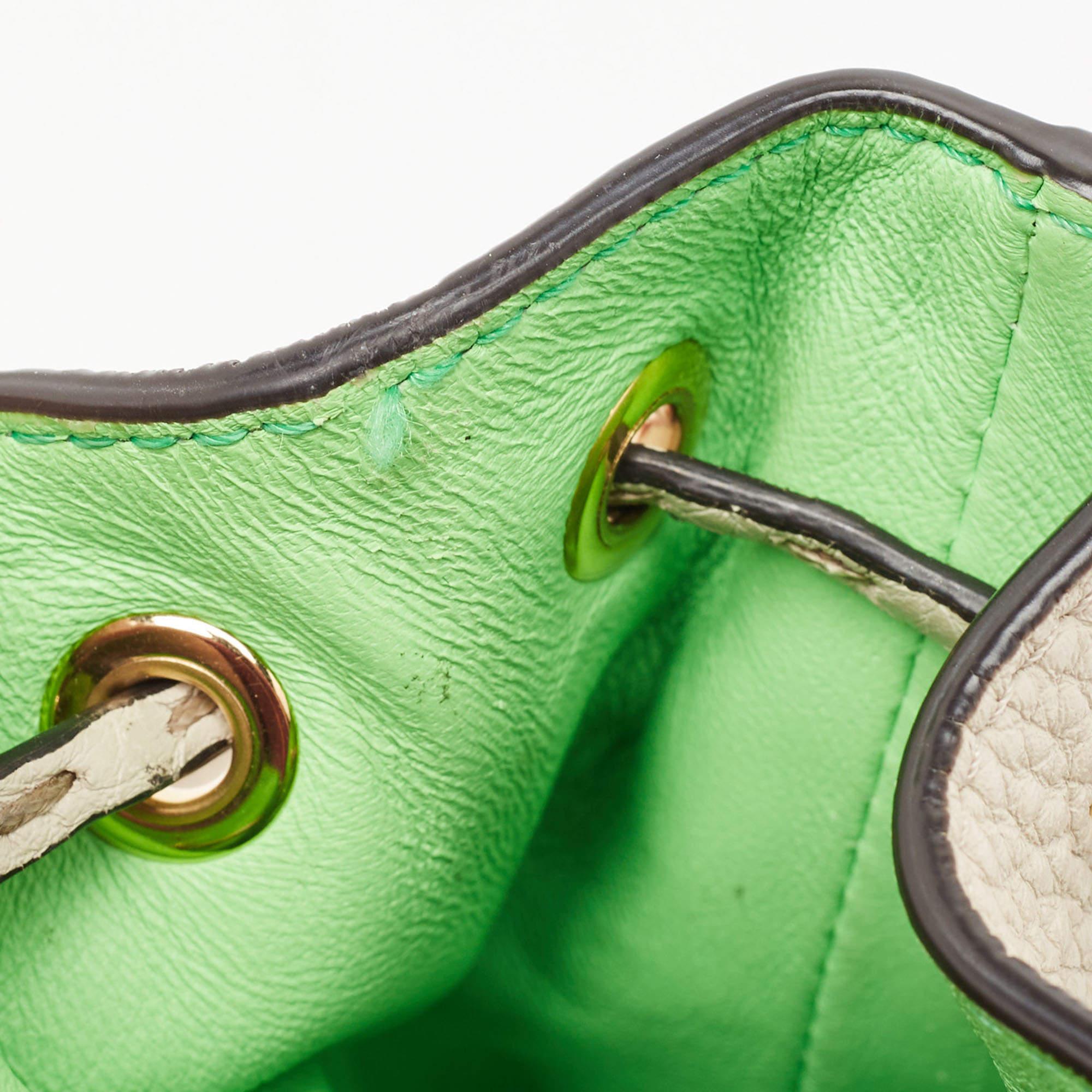 Fendi Grey/Green Leather Mini Mon Tresor Bucket Bag 5