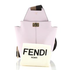 Fendi Guitar Bag Leather Mini