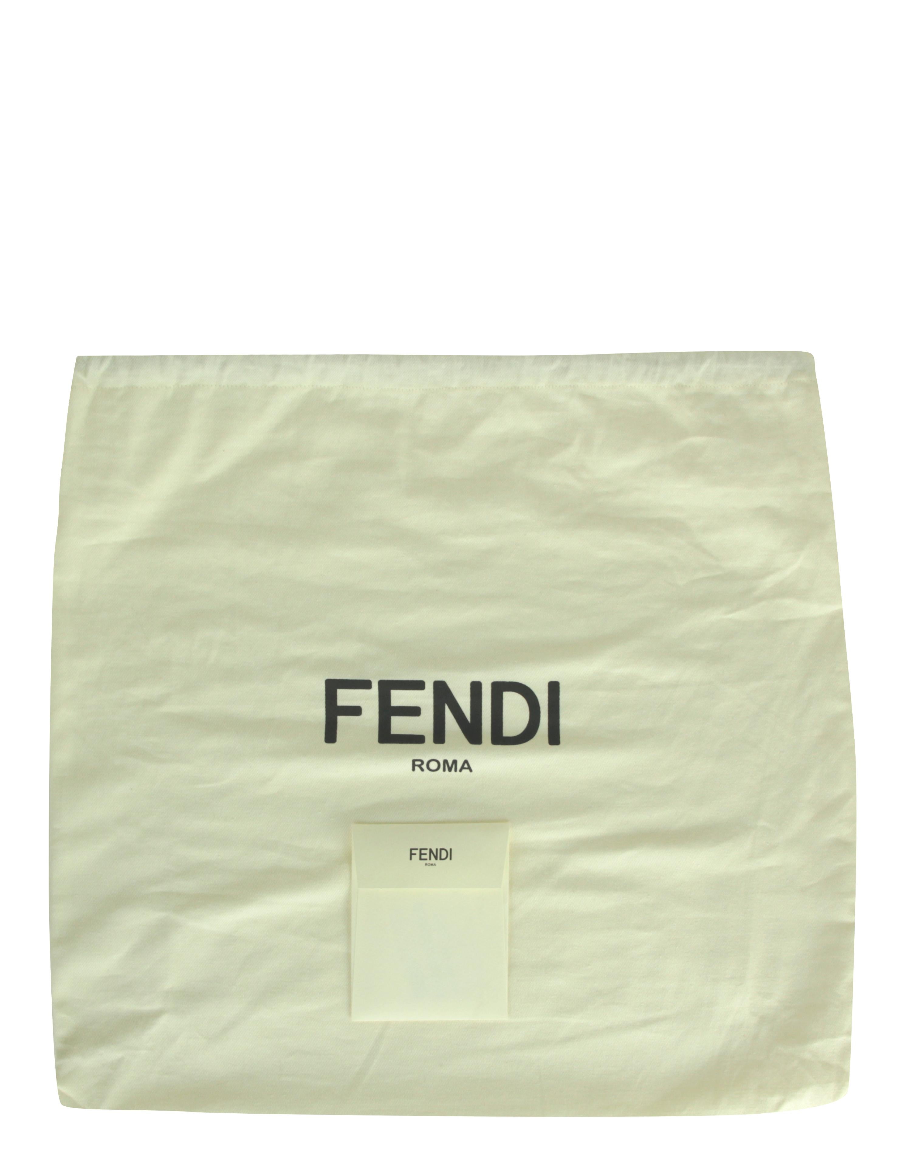 Fendi Light Rose Leather Plexiglass Medium Fendi Sunshine Shopper Tote Bag 3
