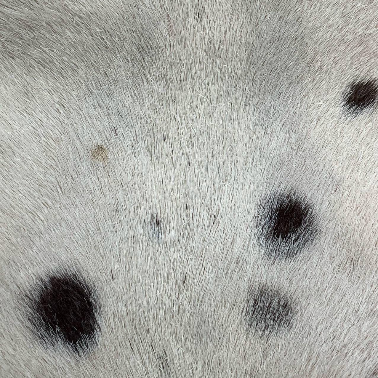 Fendi Mamma Baguette Pony-style Calfskin Dalmatian Dog Polka Dots Print 6