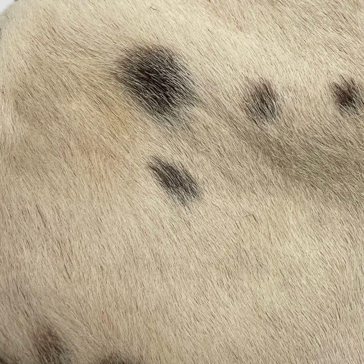 Fendi Mamma Baguette Pony-style Calfskin Dalmatian Dog Polka Dots Print 3