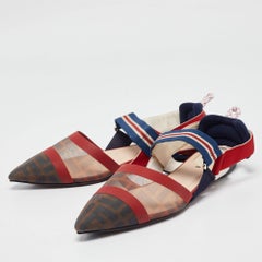 Fendi Multicolor Canvas Mesh Colibri Slingback Flats Size 39