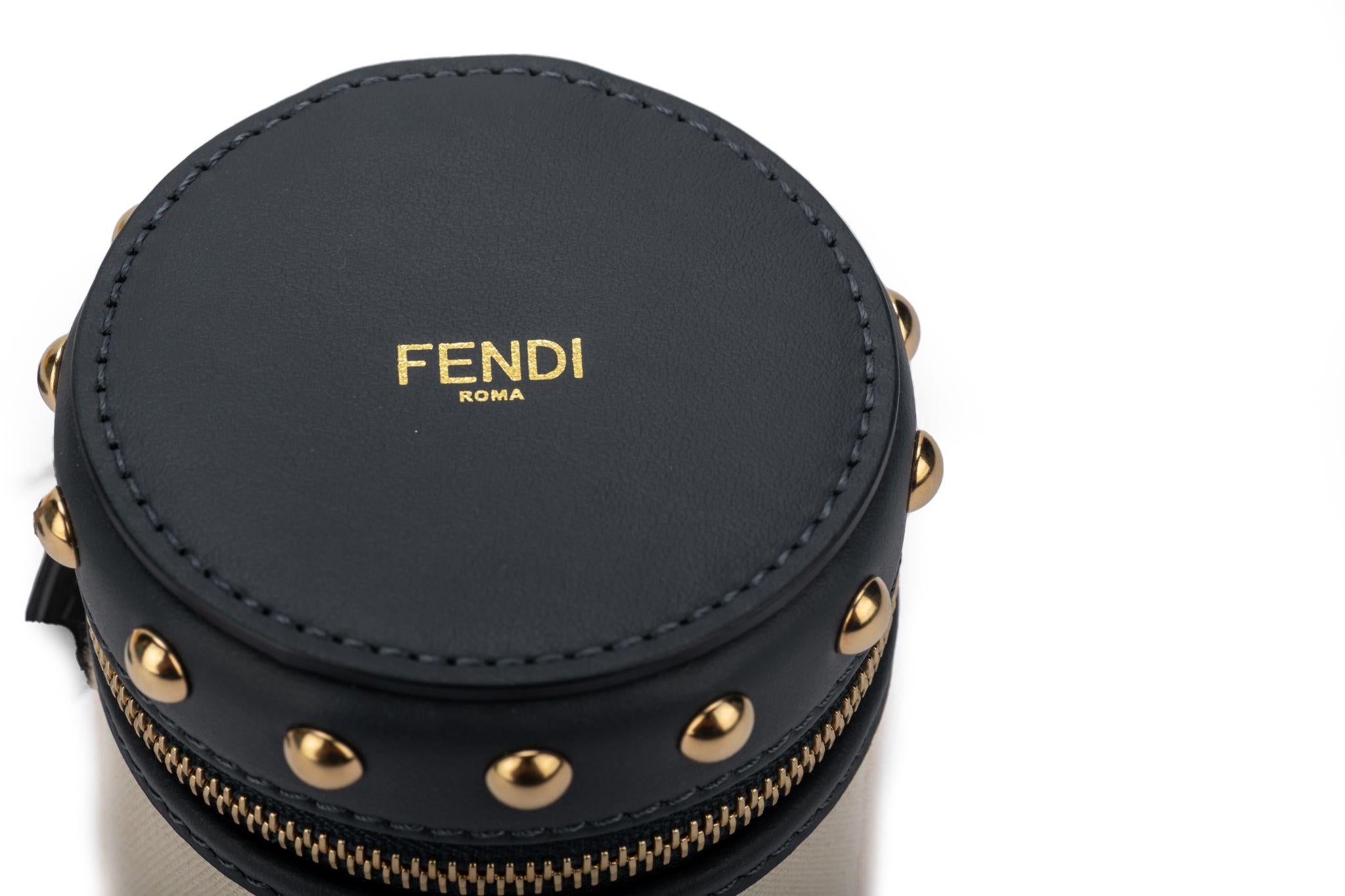 Brown Fendi NIB Striped Travel Jewelry Case For Sale