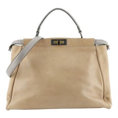 Fendi  Peekaboo Bag Rigid Leather Regular