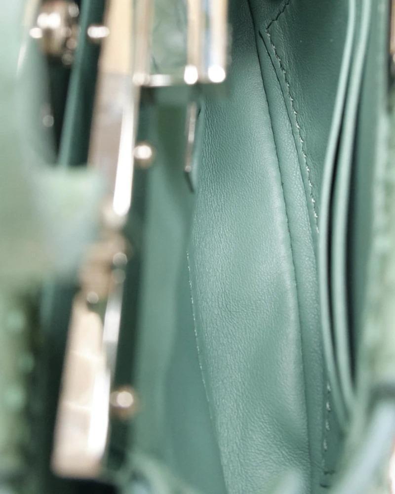 Fendi Peekaboo Micro Python brodé Aqua Green en vente 10