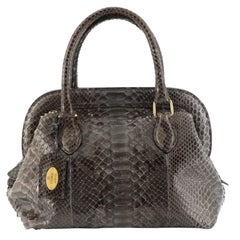 Fendi Selleria Frame Doctor Bag Python Small