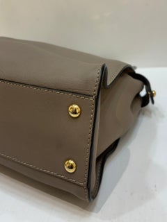 Fendi Taupe Regular Peekaboo Tortoiseshell Plexi Bag