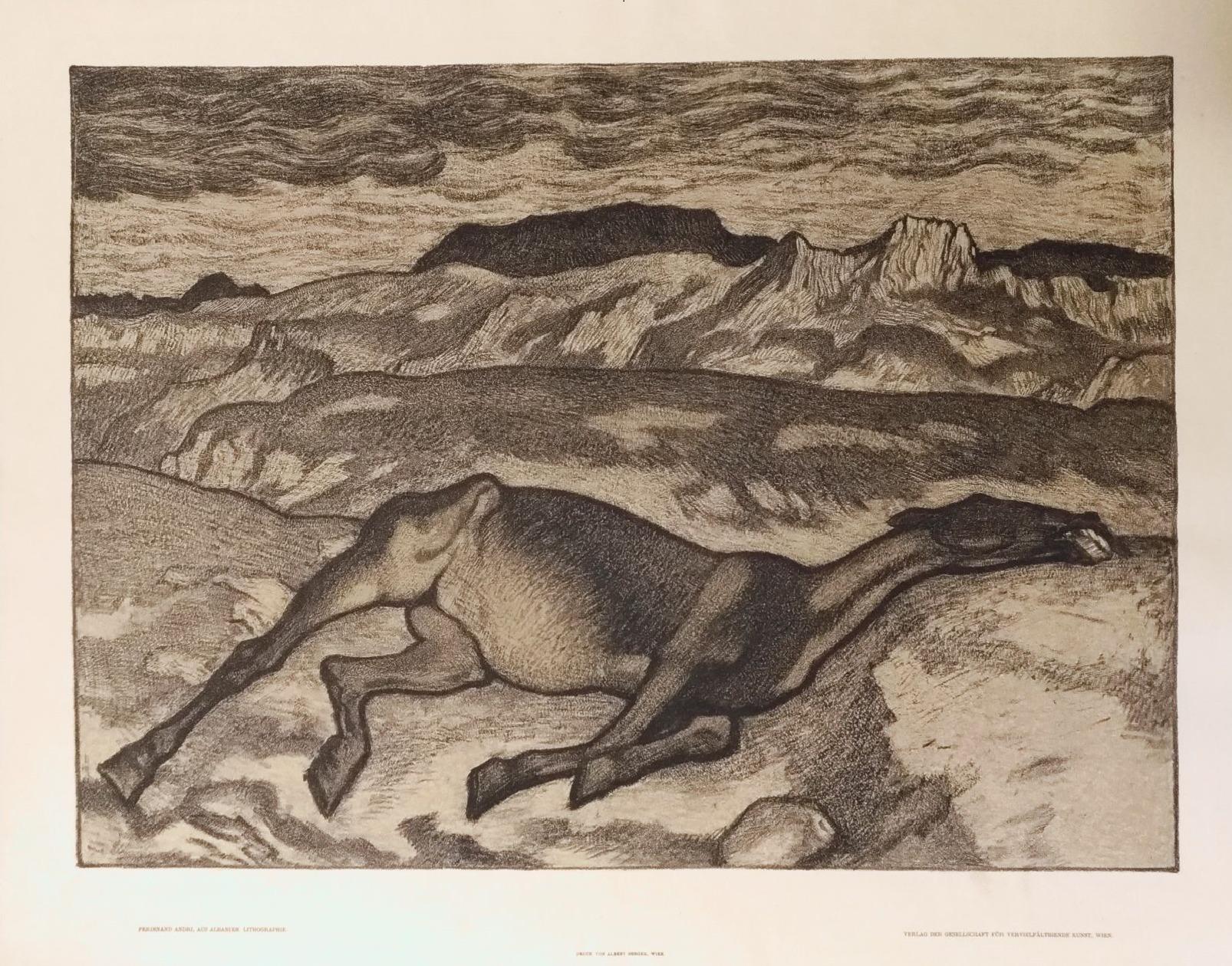 Ferdinand Andri Animal Print – Albanien, Albanien