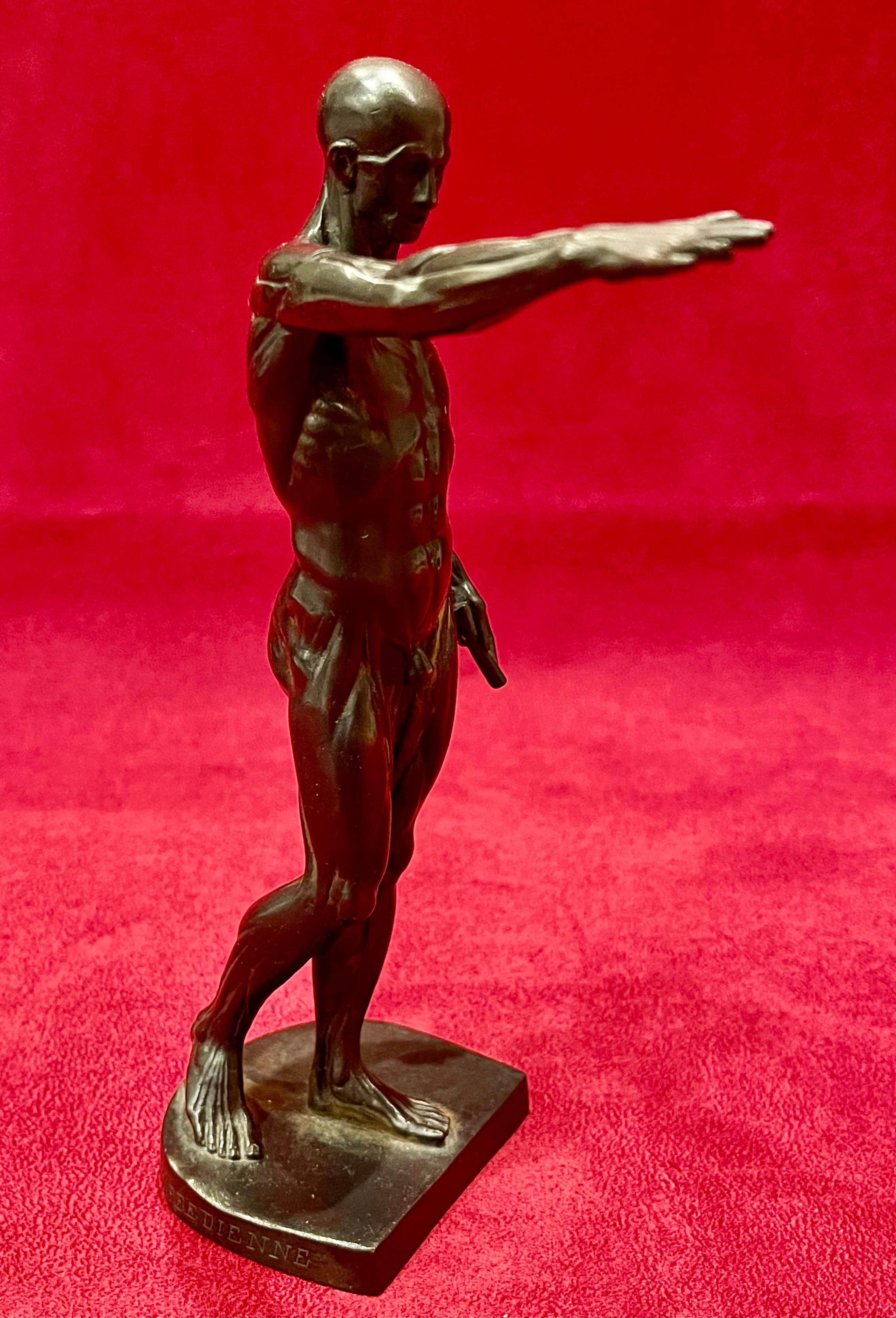 Ferdinand BARBEDIENNE - Bronze, The Flayed For Sale 9