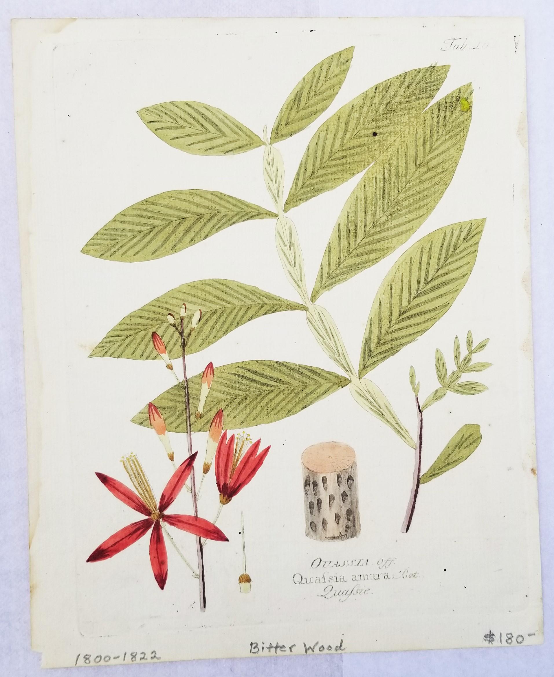 Künstler: Ferdinand Bernhard Vietz (Österreicher, 1772-1815)
Bezeichnungen: 