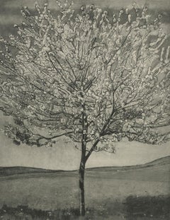 "Cherry Tree in Bloom" Copper Plate Heliogravure