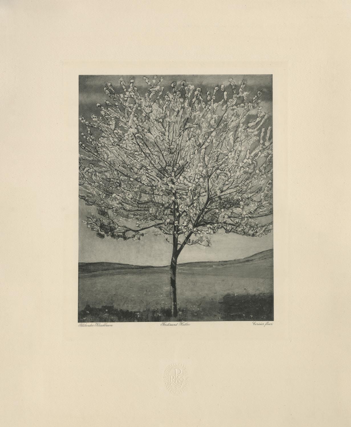 Ferdinand Hodler & R. Piper & Co. Figurative Print - "Cherry Tree in Bloom" Copper Plate Heliogravure