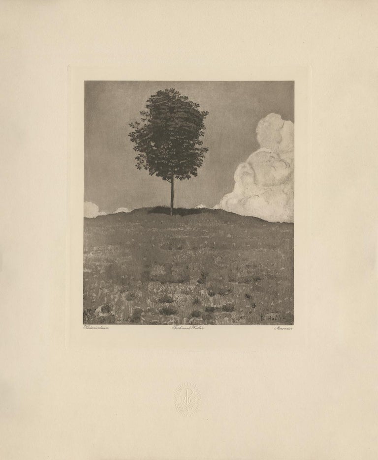 <i>Chestnut Tree</i>, ca. 1914, by Ferdinand Hodler & R. Piper & Co., offered by Galerie Fledermaus