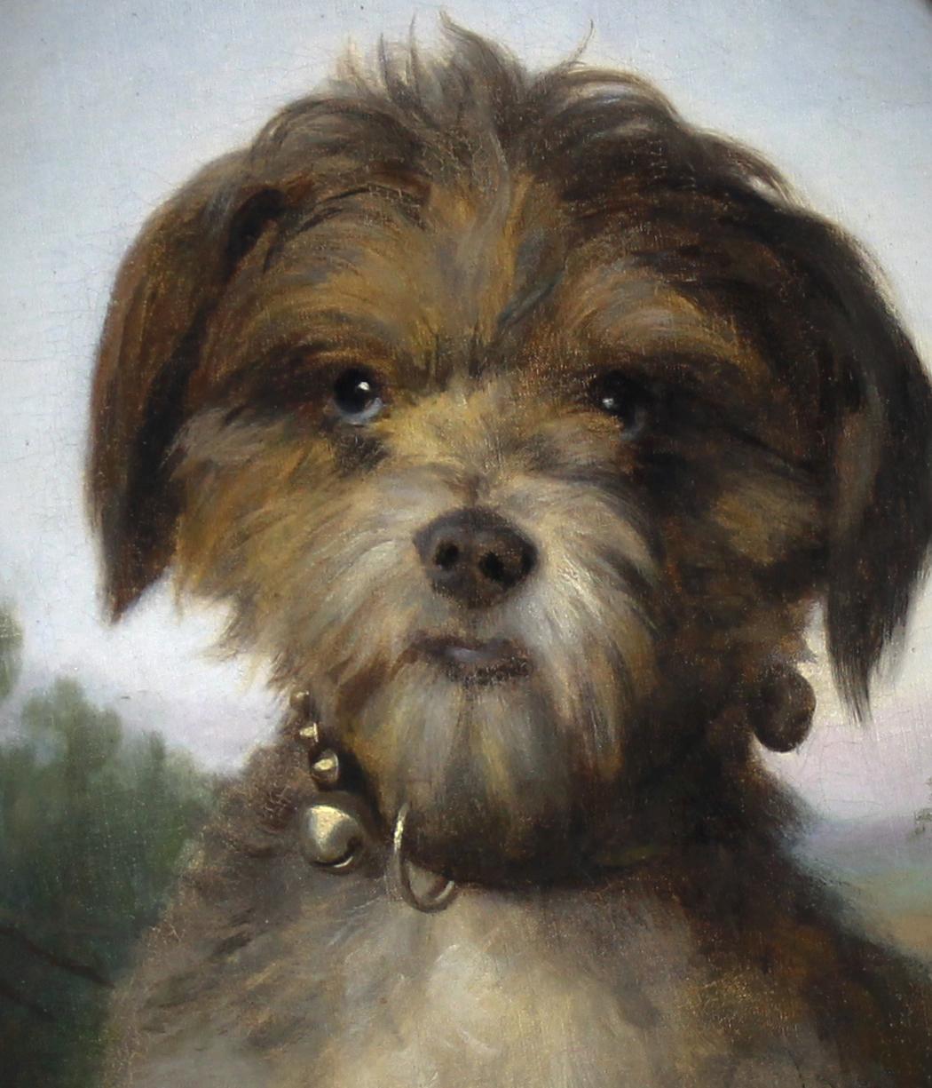 oil on canvas portrait of a little dog by Ferdinand Krumholz - Other Art Style Painting by Ferdinand KRUMHOLZ (1810-1878)