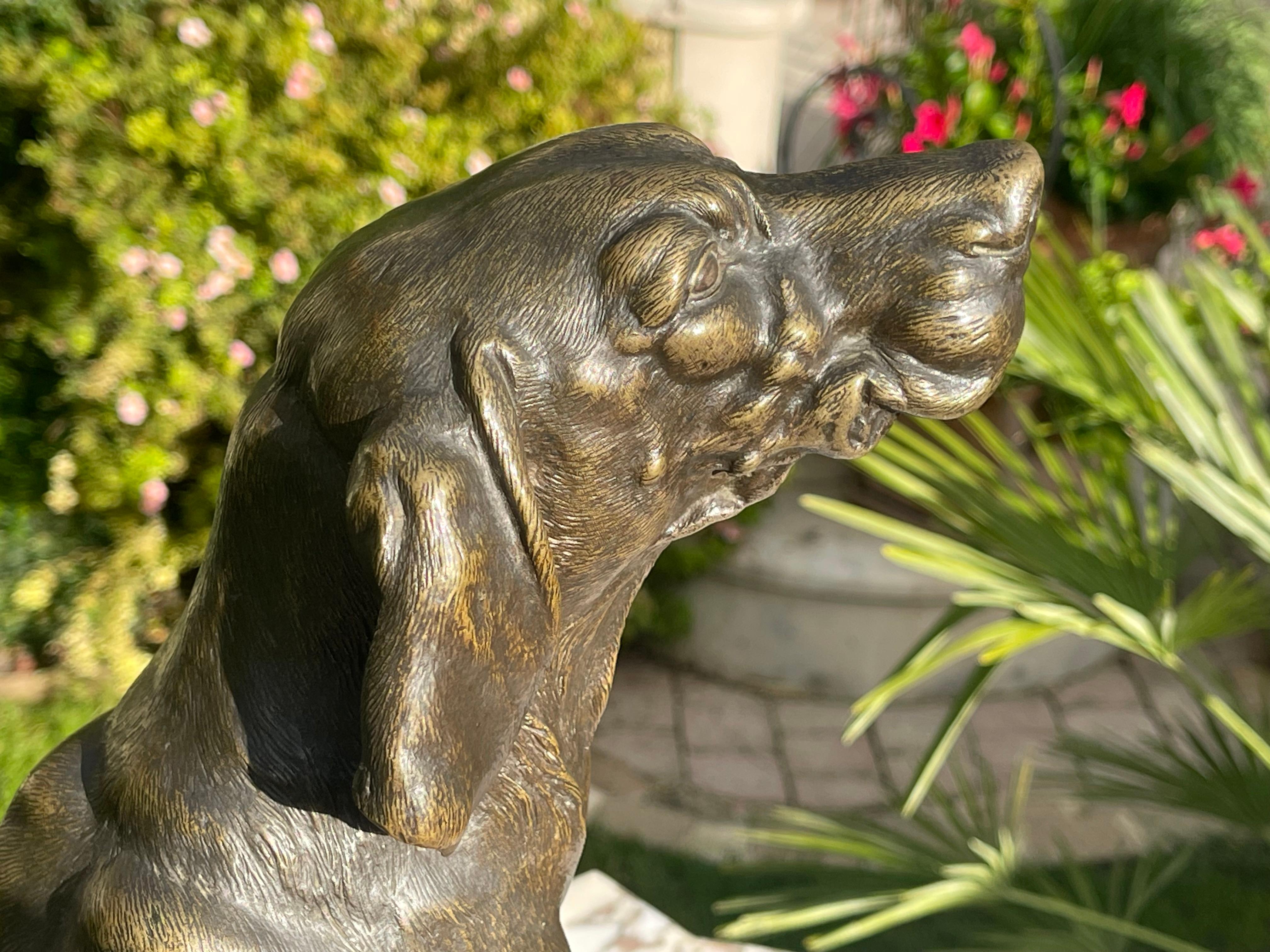 Ferdinand PAUTROT - Bronze, chien de chasse en vente 4