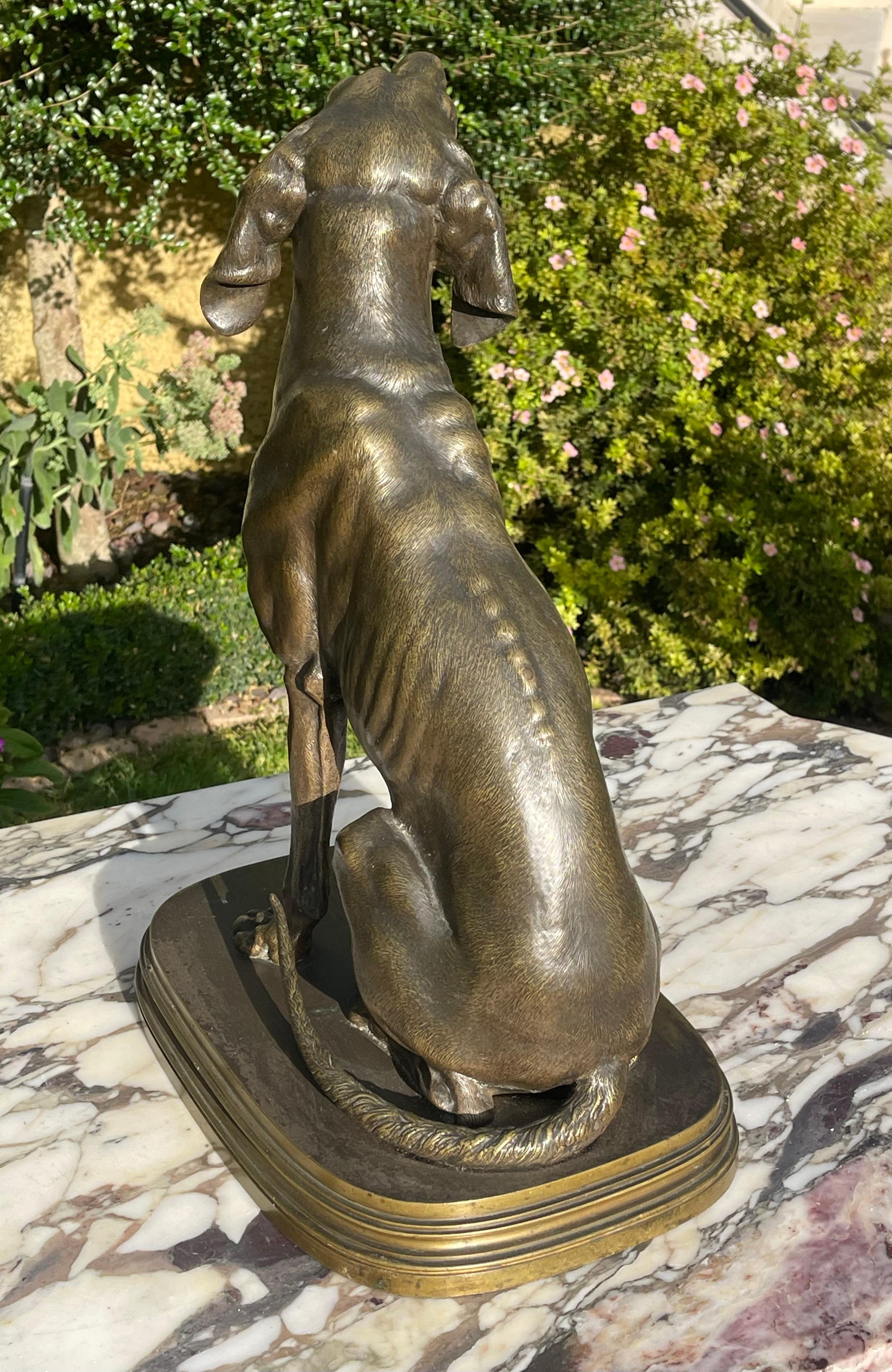 Ferdinand PAUTROT - Bronze, chien de chasse en vente 6