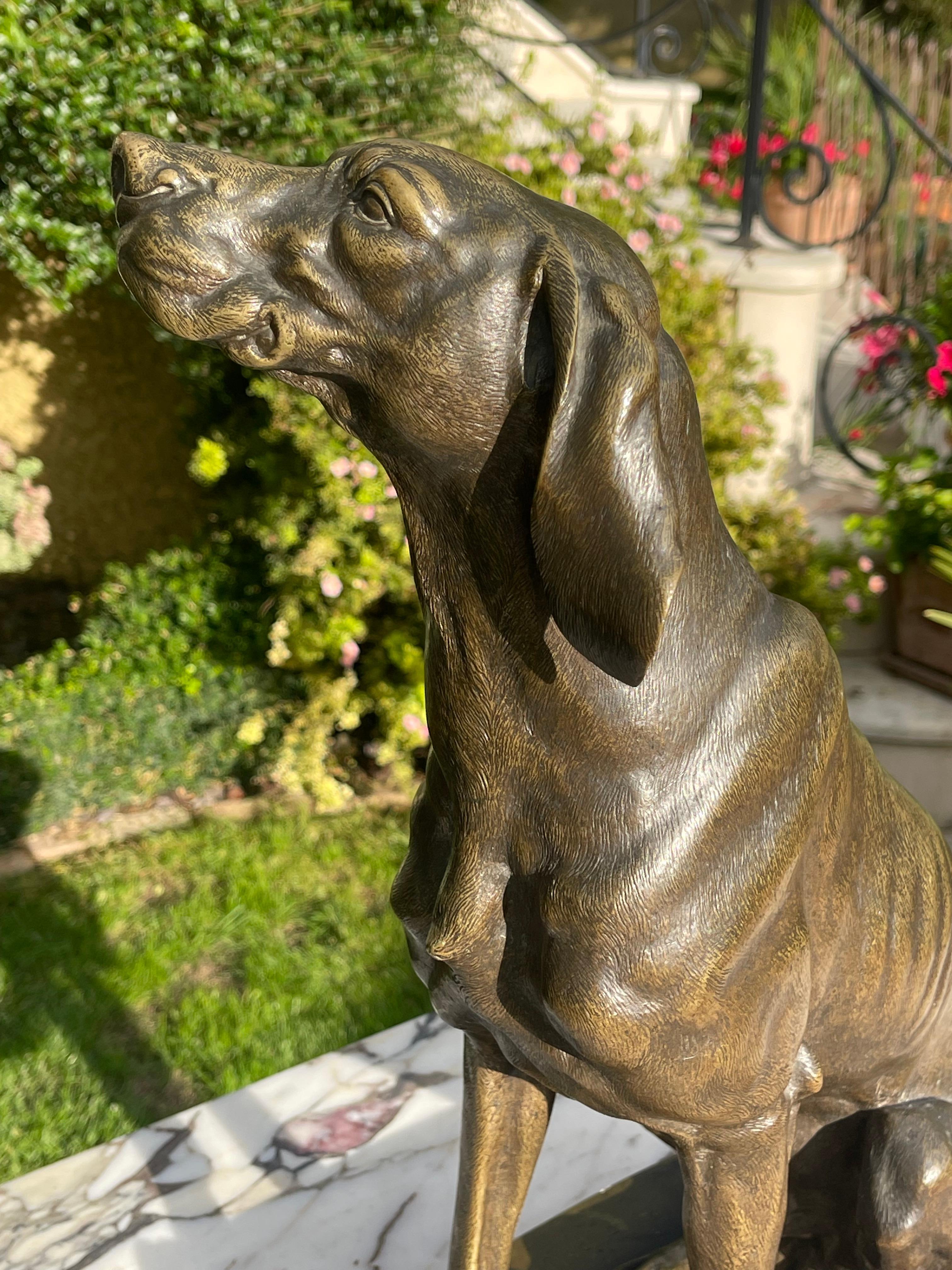 Ferdinand PAUTROT - Bronze, chien de chasse en vente 8