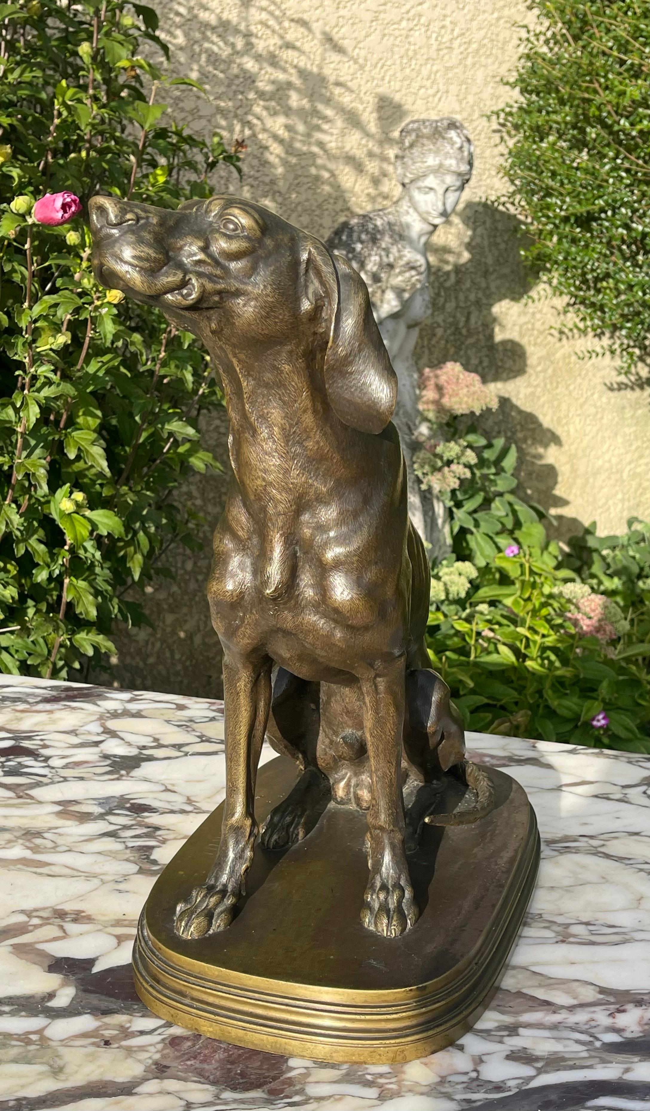 Ferdinand PAUTROT - Bronze, chien de chasse en vente 10