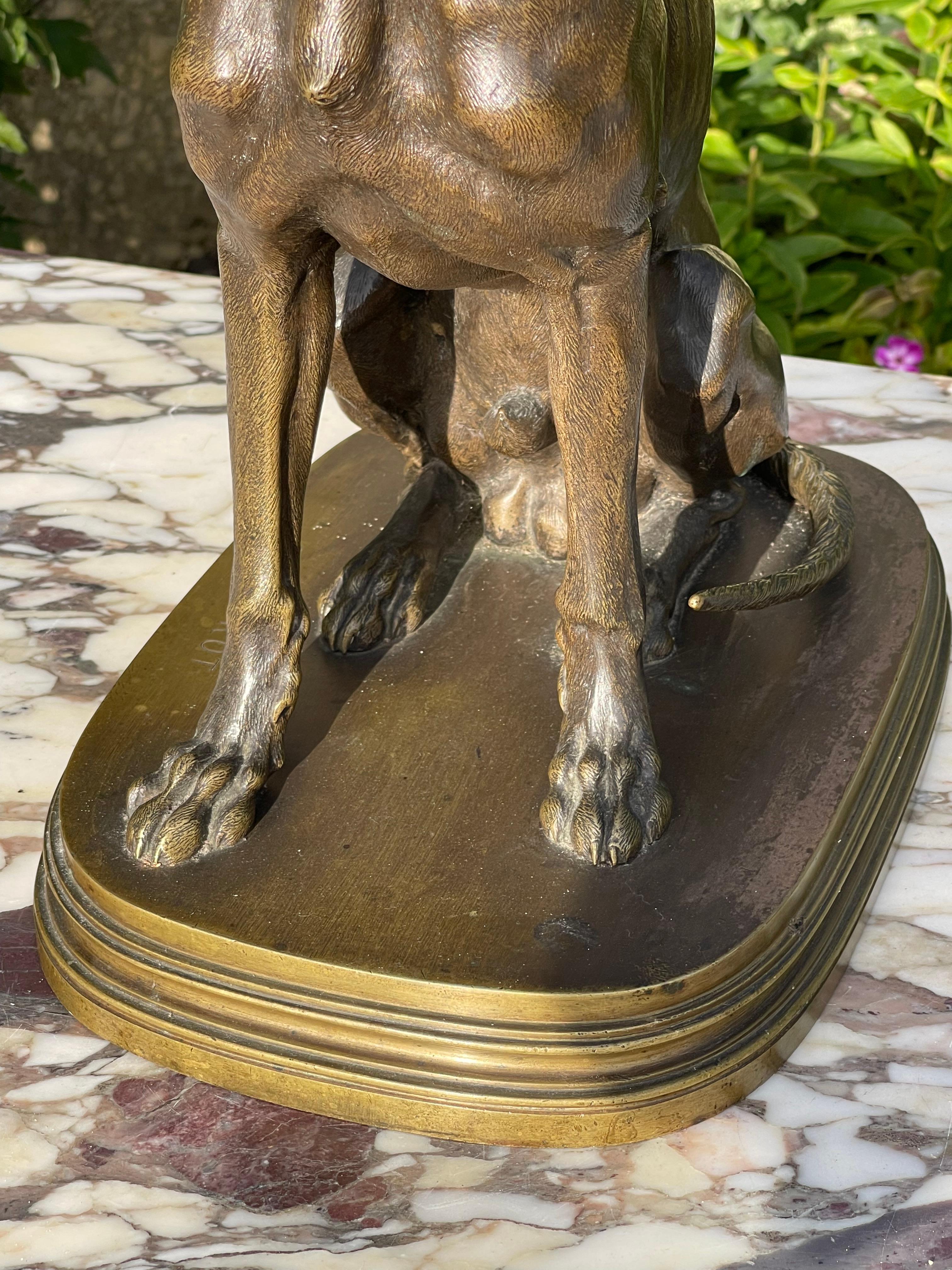 Ferdinand PAUTROT - Bronze, chien de chasse en vente 11