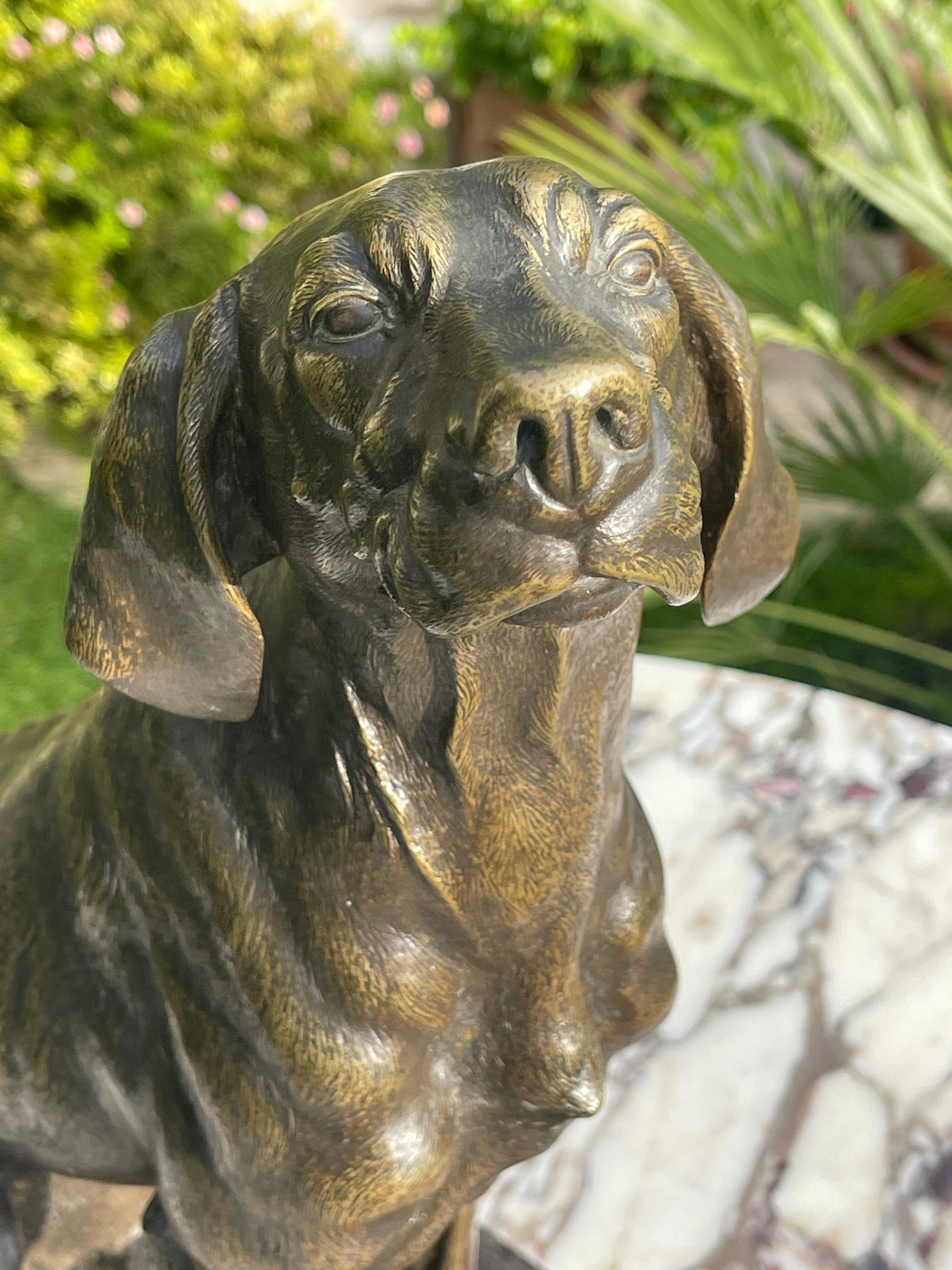 Ferdinand PAUTROT - Bronze, chien de chasse en vente 12