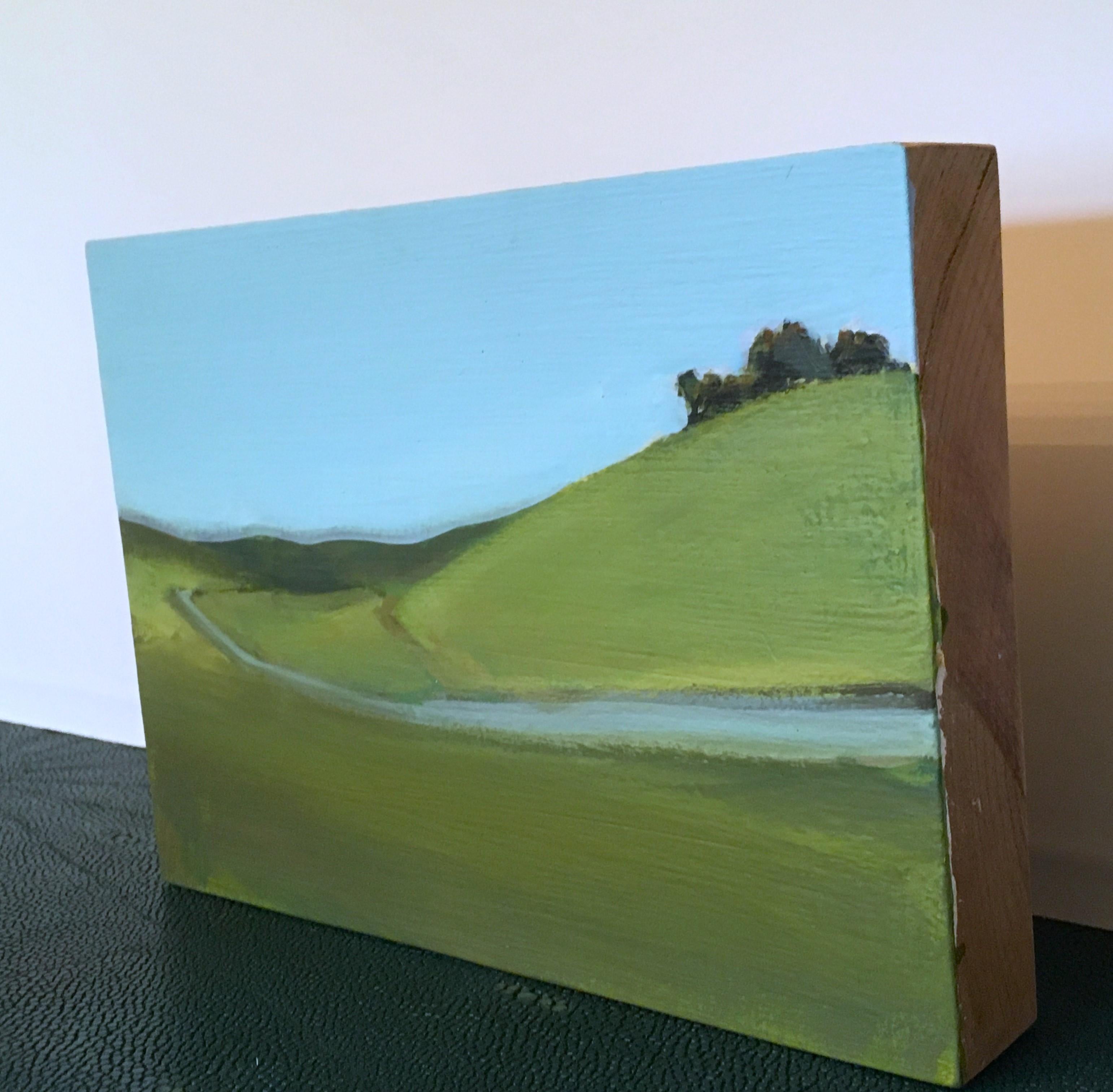 Cuesta arriba nº 2, Acrílico, Panel de madera, Paisaje, Agua, Hierba, Colinas - Painting Contemporáneo de Ferdinanda Florence