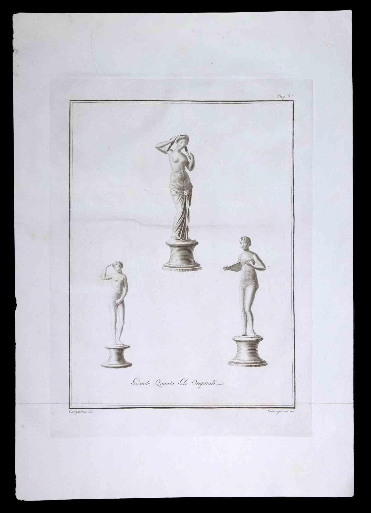 Ancient Roman statues, from the series "Antiquities of Herculaneum", is an original etching on paper realized by Ferdinando Campana in the 18th century.

Signed on the plate, on the lower left.

Good conditions.

The etching belongs to the print