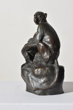Macaques