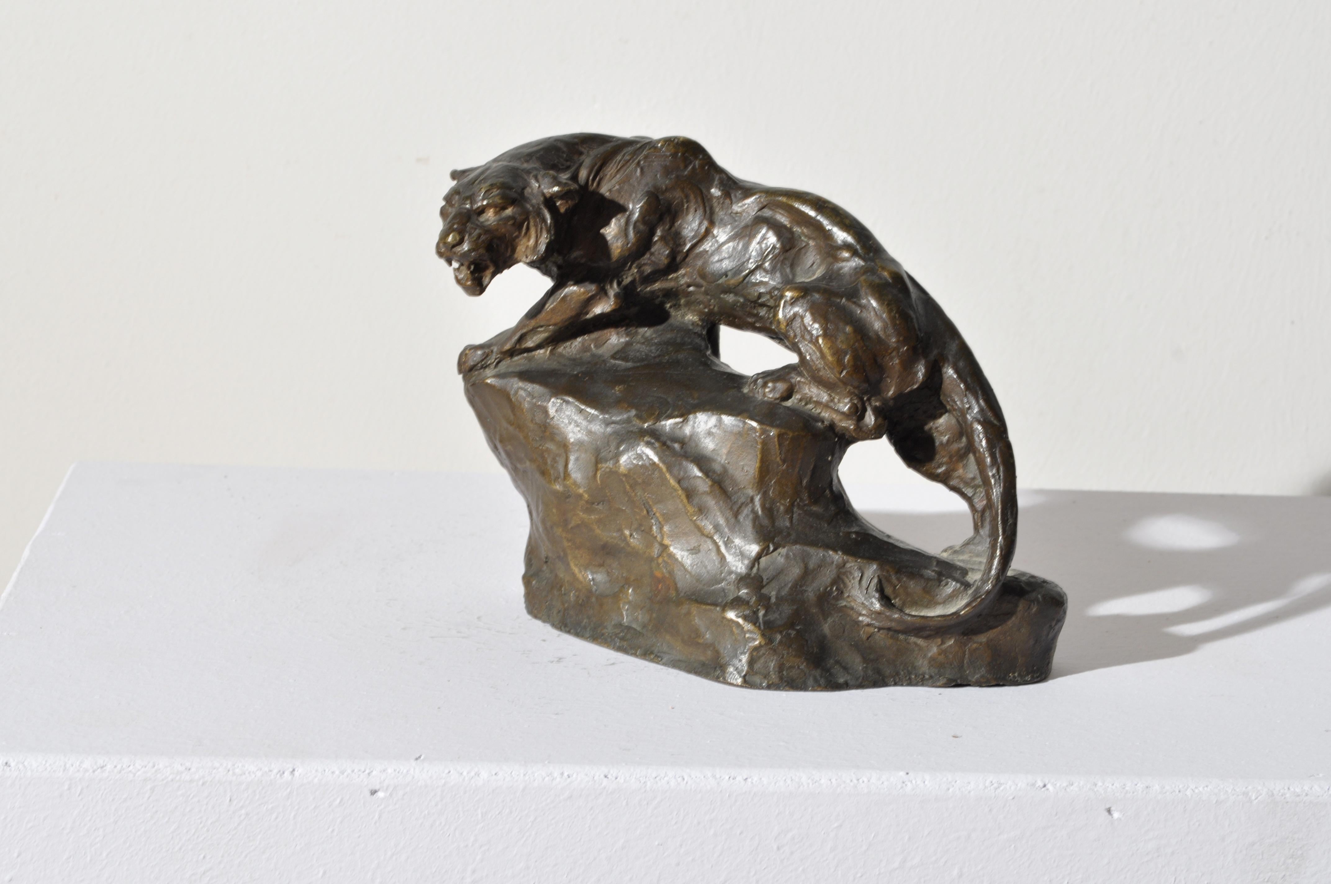 Ferdinando Vichi Figurative Sculpture - Tiger