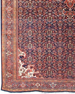 Antique Fereghan Sarouk Rug, Late 19th Century