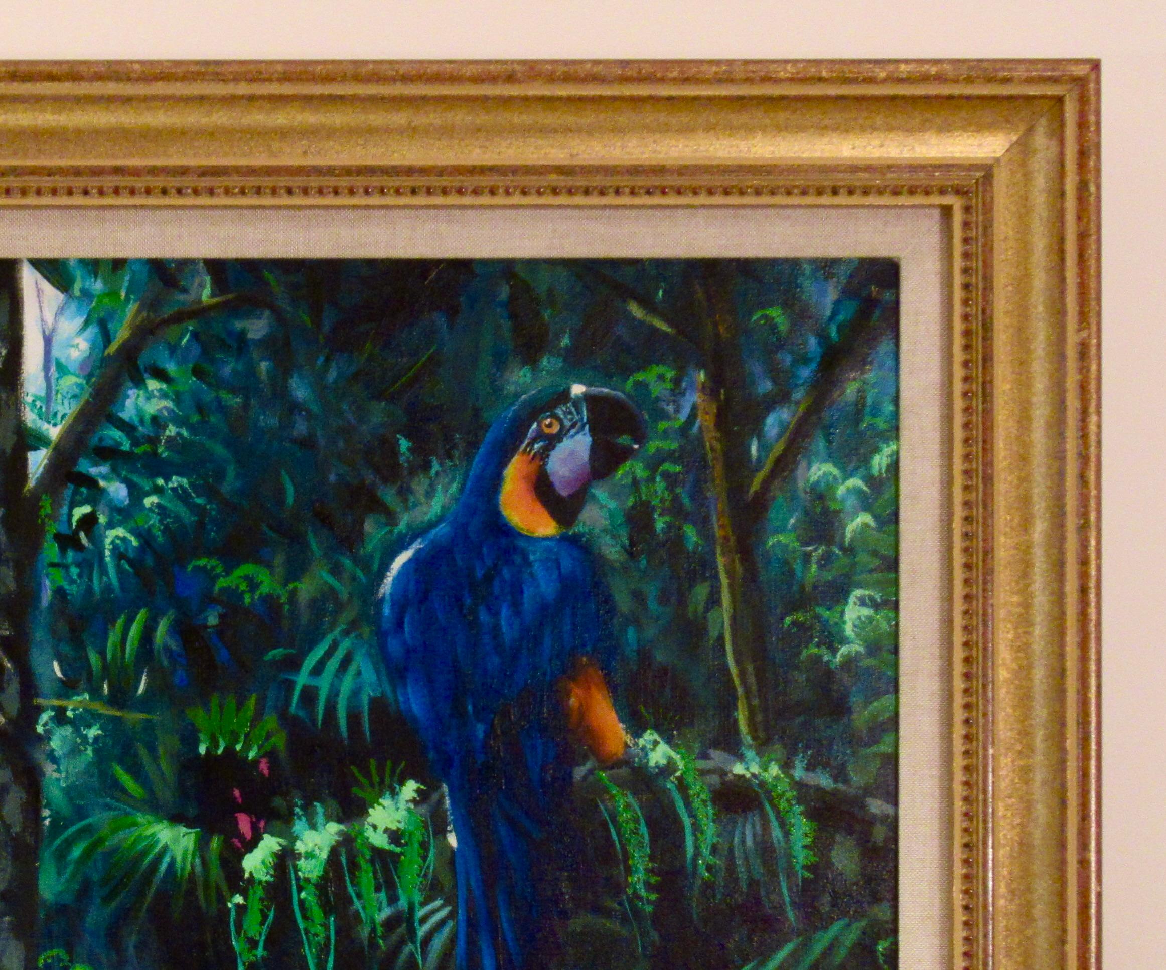 Selva tropical en venta 4