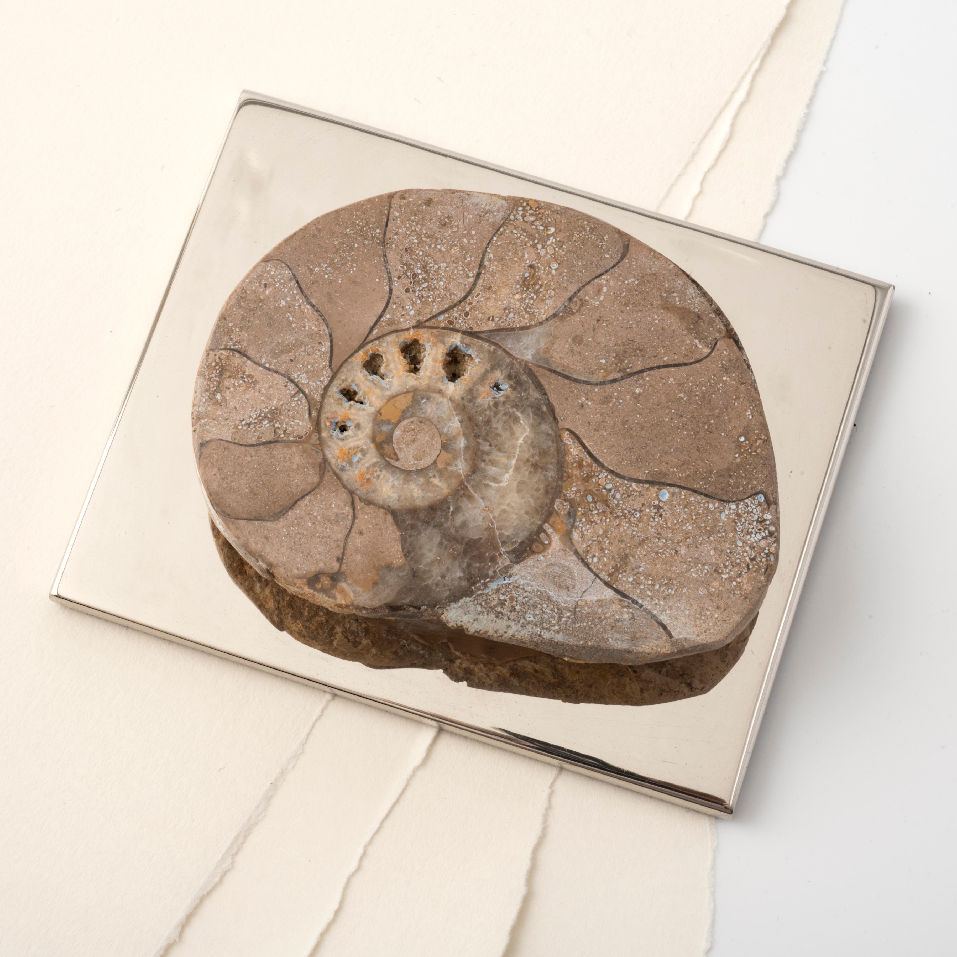 Entworfen als  briefbeschwerer für einen eklektischen Schreibtisch oder ein Bücherregal, dieser  kleine und einzigartige Skulptur,  geht über die Funktionalität hinaus und ist  auch ein Möbelstück  exklusiv und unwiederholbar. 
Die Schönheit der