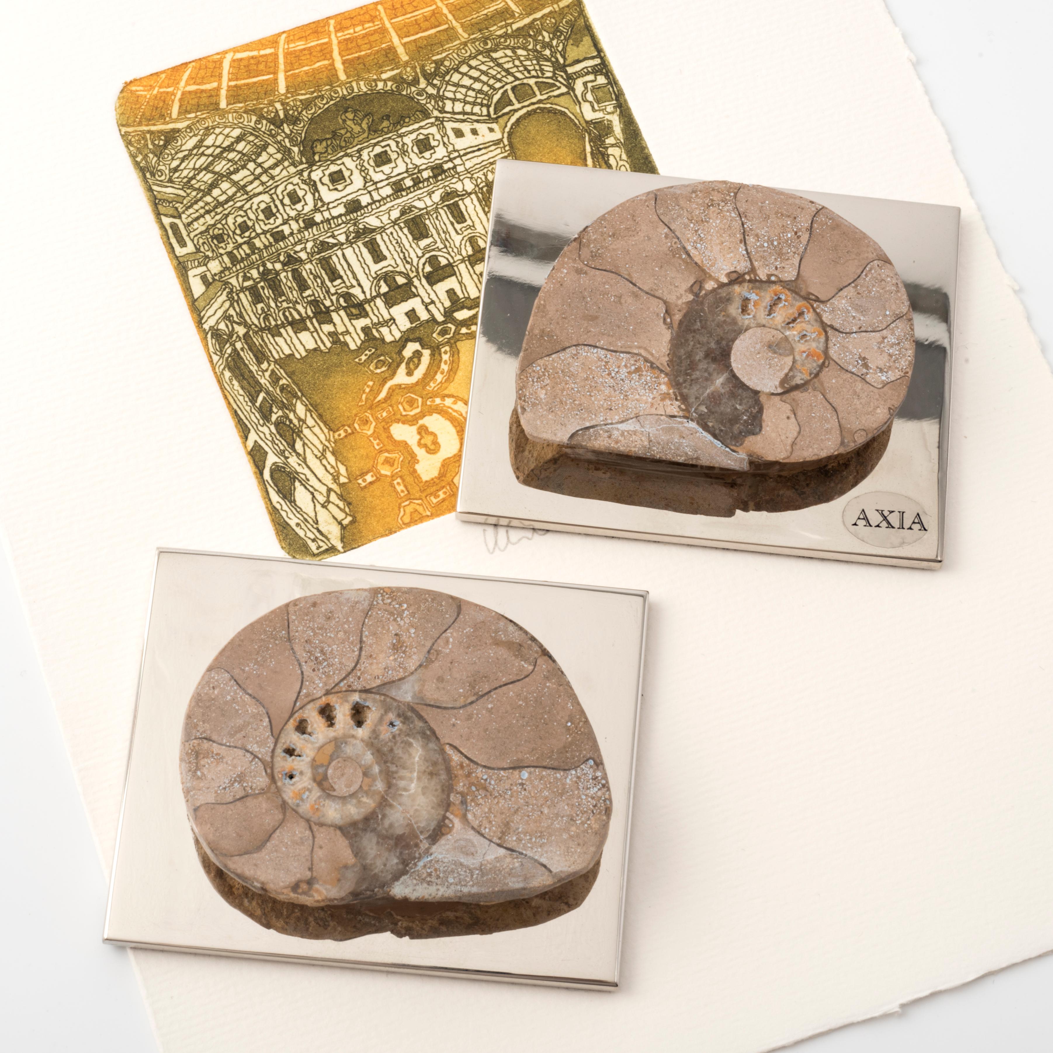 AMMONITE CARDMAKER Zeitgemäßes Design mit authentischer fossiler Muschel #1 (Moderne) im Angebot