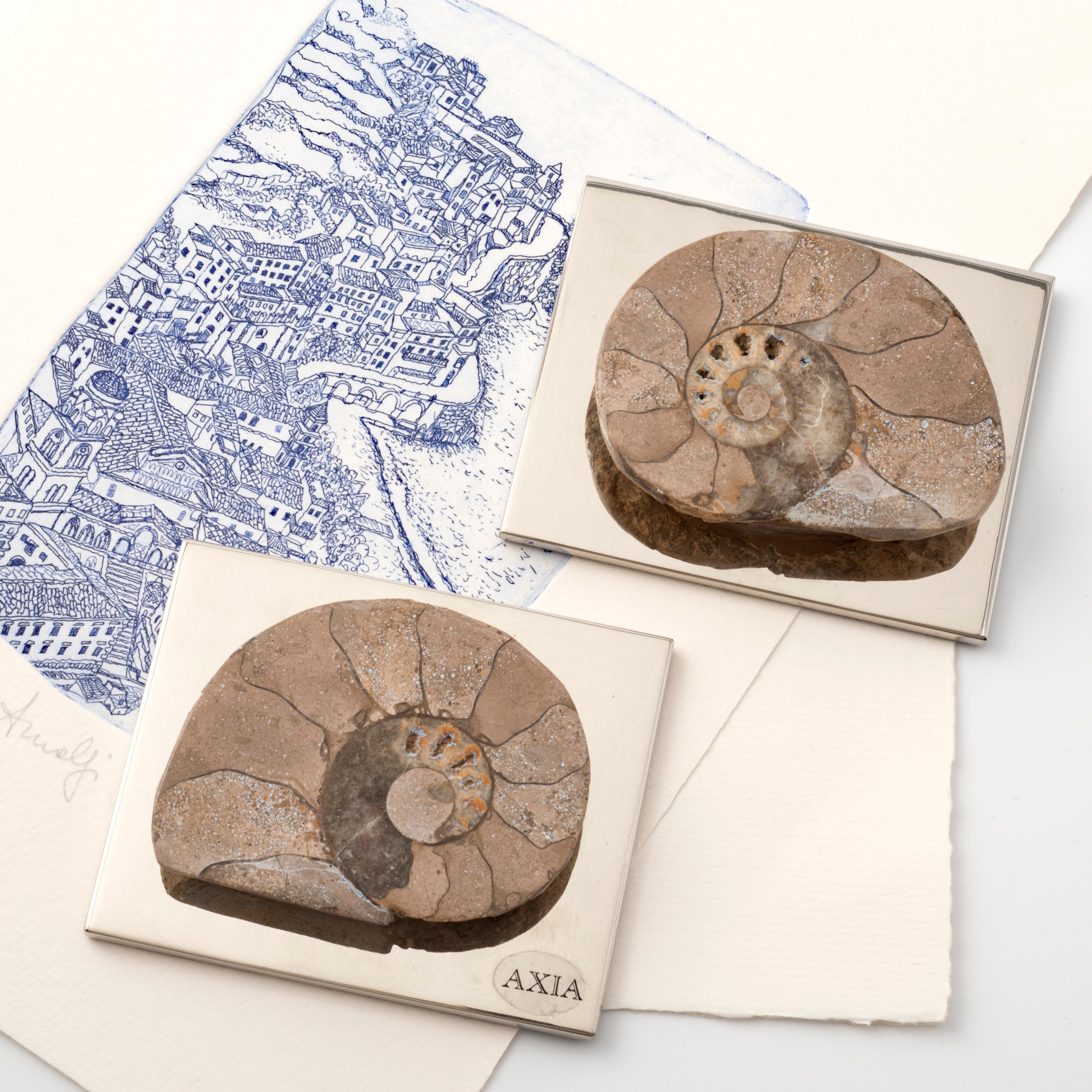 AMMONITE CARDMAKER Zeitgemäßes Design mit authentischer fossiler Muschel #1 (Italian) im Angebot