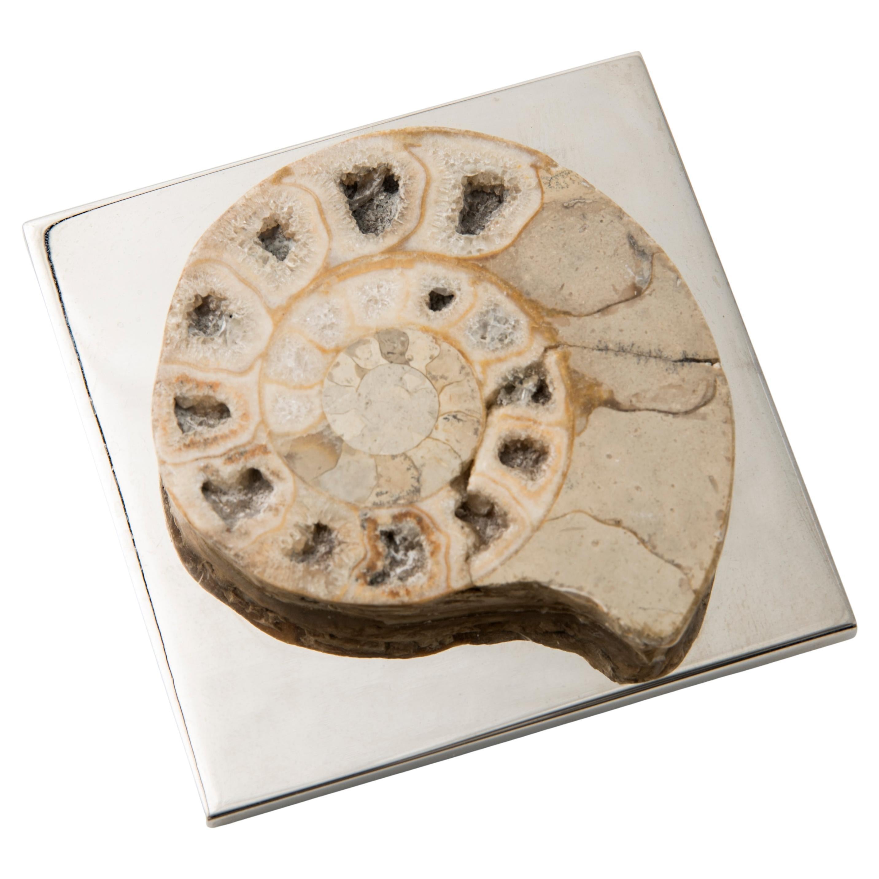 FERMACHE WITH AMMONITE - real fossil of the Paleozoic Era rounded biege #2
