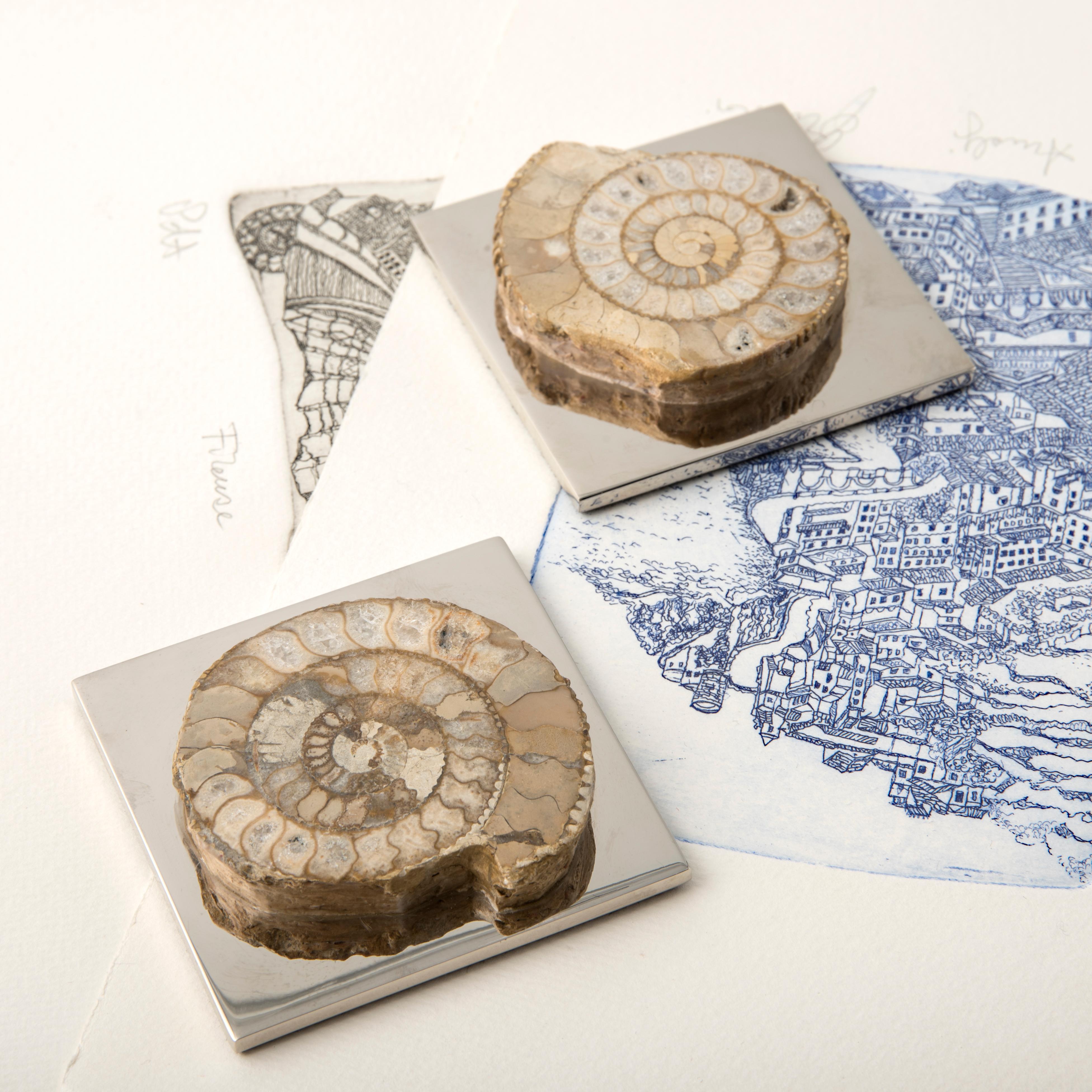 AMMONITE FERMENTATION - echtes Fossil aus dem Paläozoikum abgerundete Biegung #3 (Moderne) im Angebot