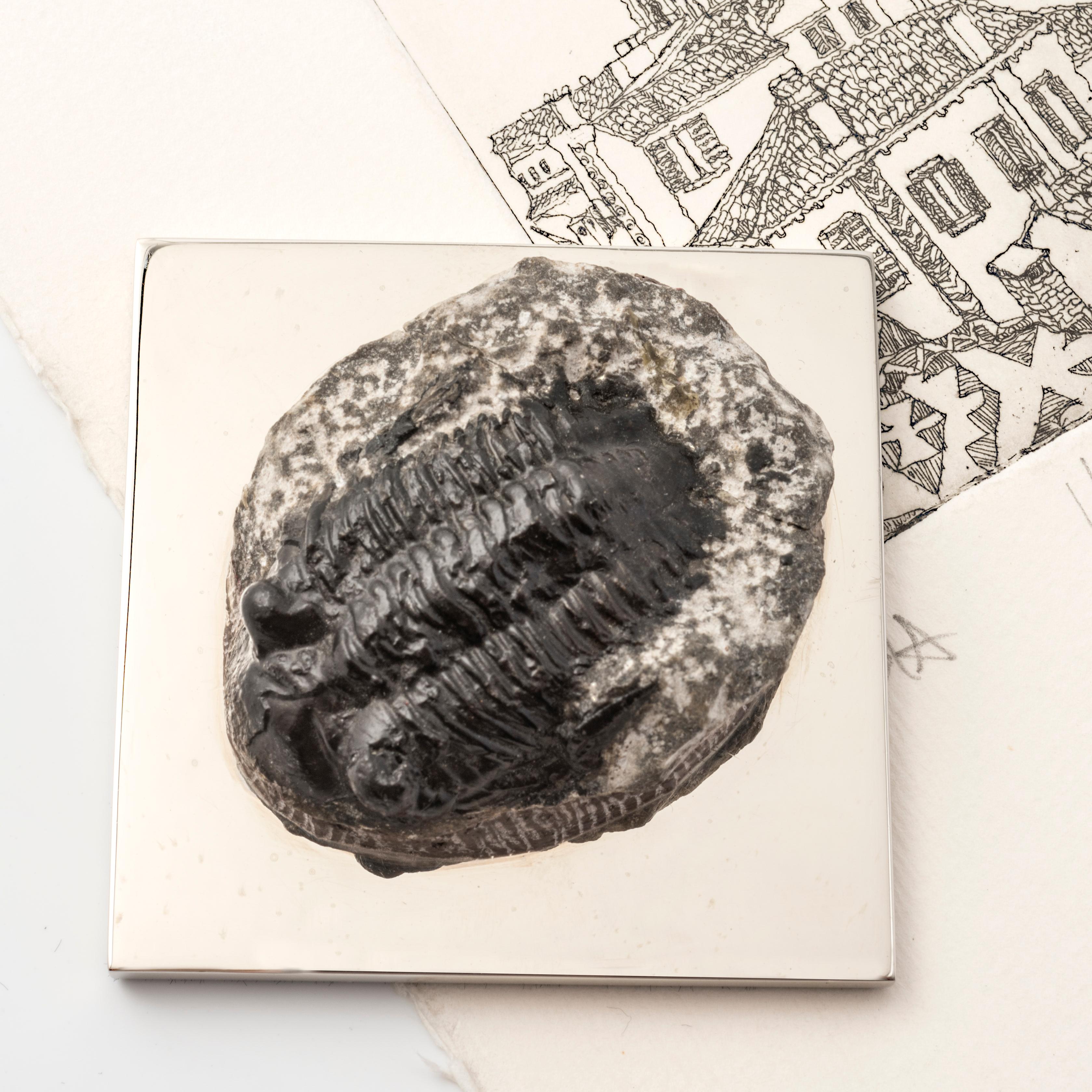 Modern FERMACHE WITH TRILOBITE real fossil of the Paleozoic Era to admire and use #1 For Sale