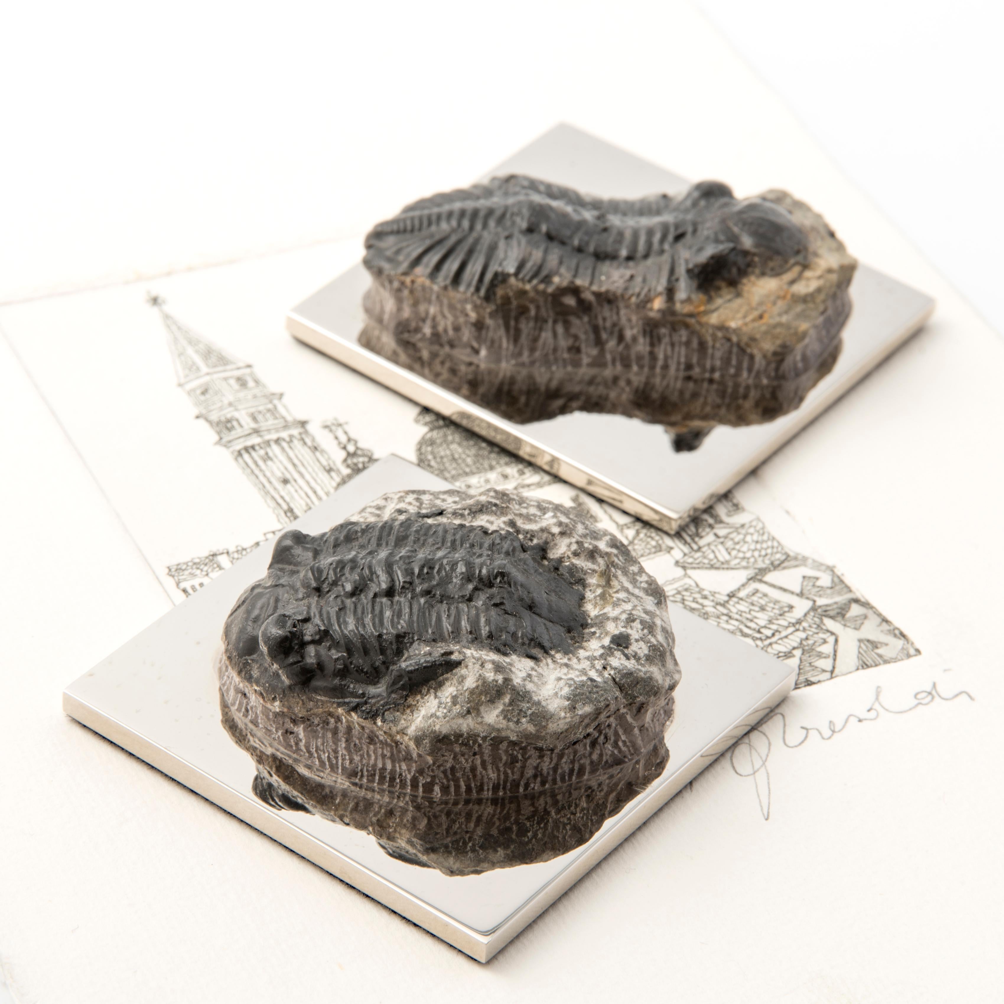 Italian FERMACHE WITH TRILOBITE real fossil of the Paleozoic Era to admire and use #1 For Sale
