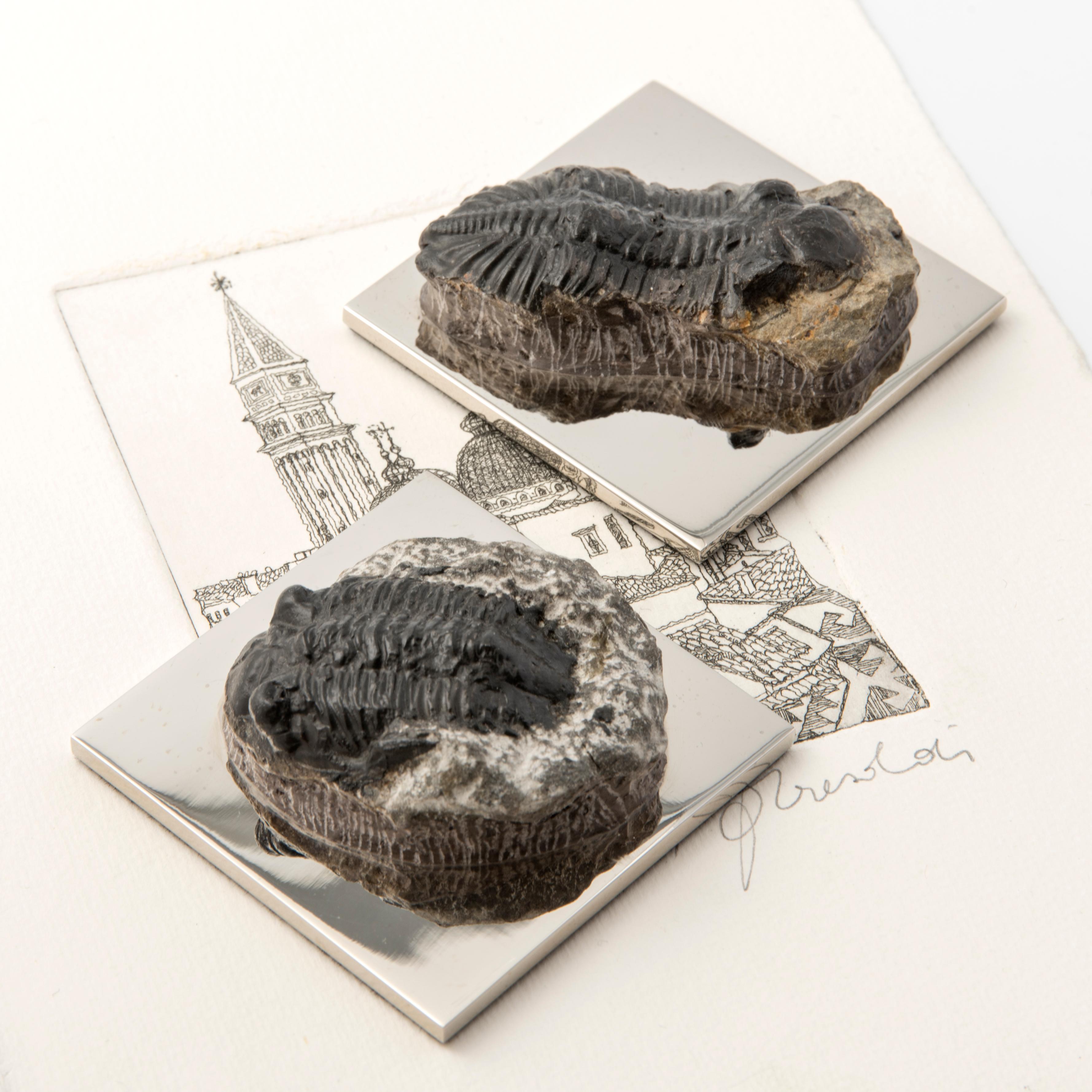 Galvanized FERMACHE WITH TRILOBITE real fossil of the Paleozoic Era to admire and use #1 For Sale