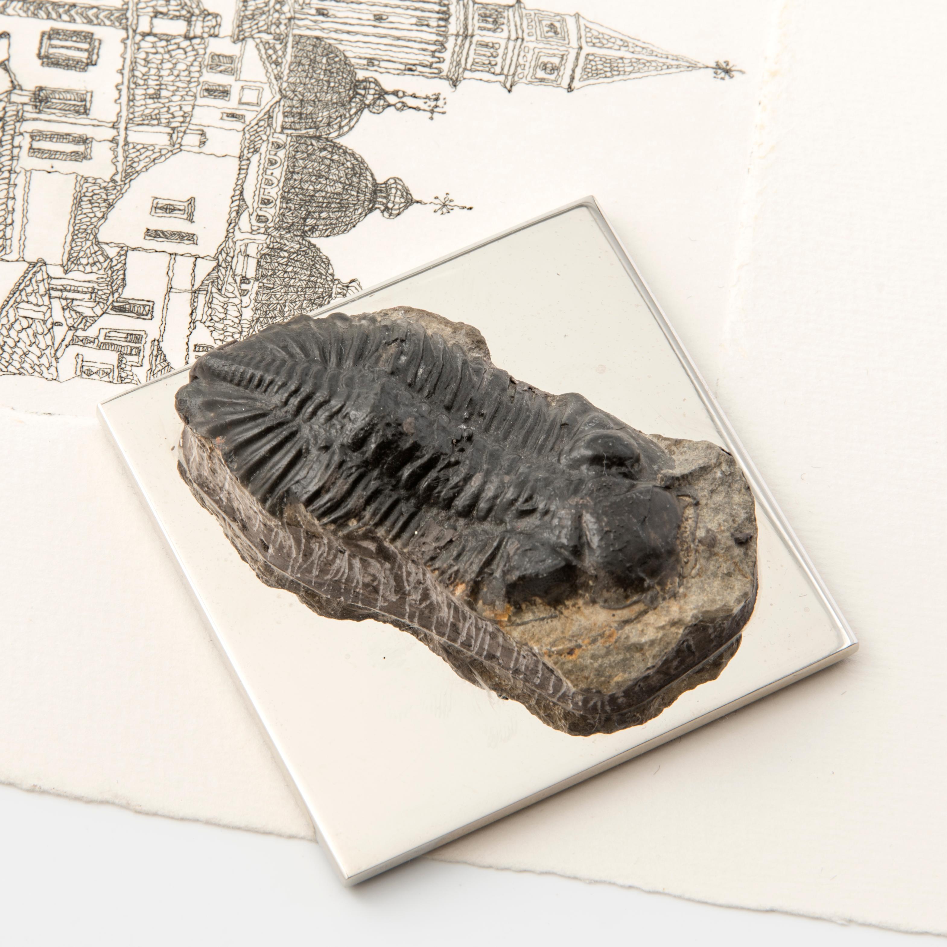 Modern FERMACHE WITH TRILOBITE real fossil of the Paleozoic Era to admire and use #2 For Sale