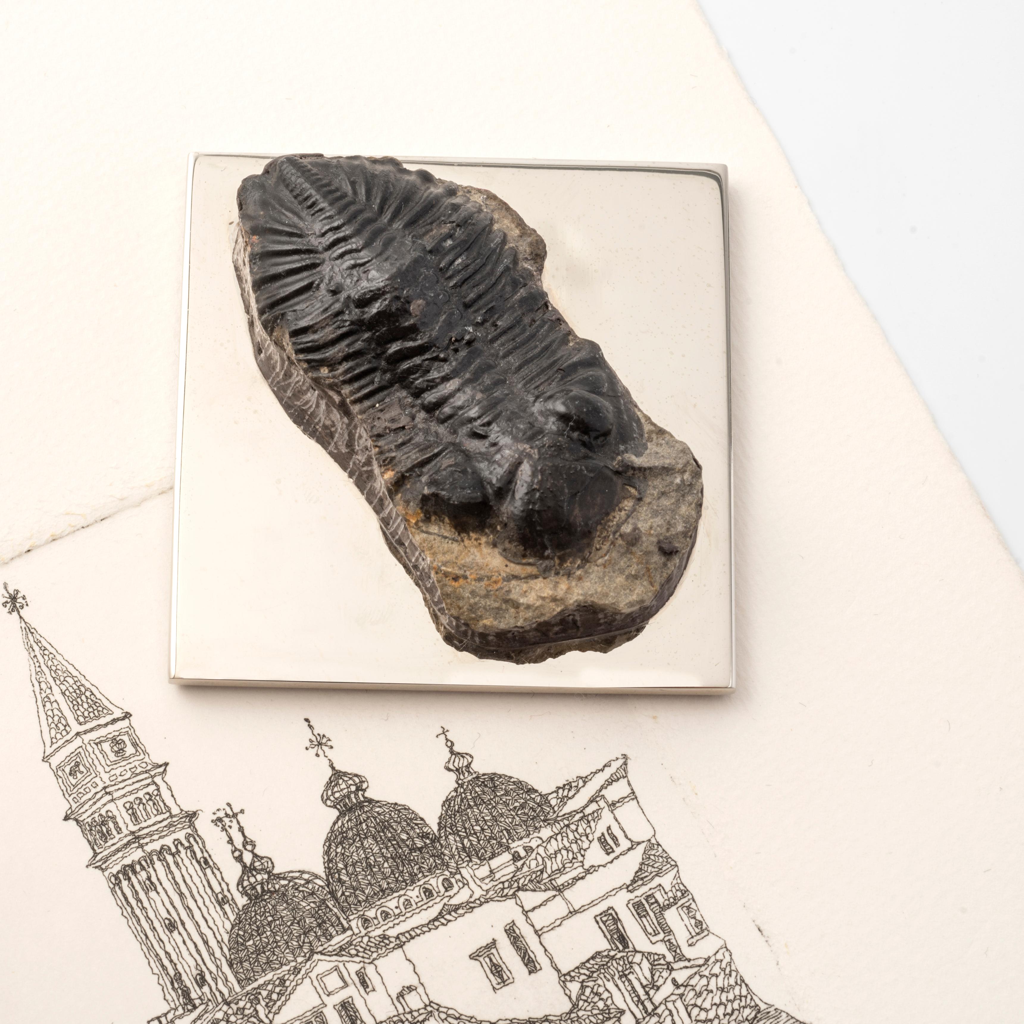 Italian FERMACHE WITH TRILOBITE real fossil of the Paleozoic Era to admire and use #2 For Sale